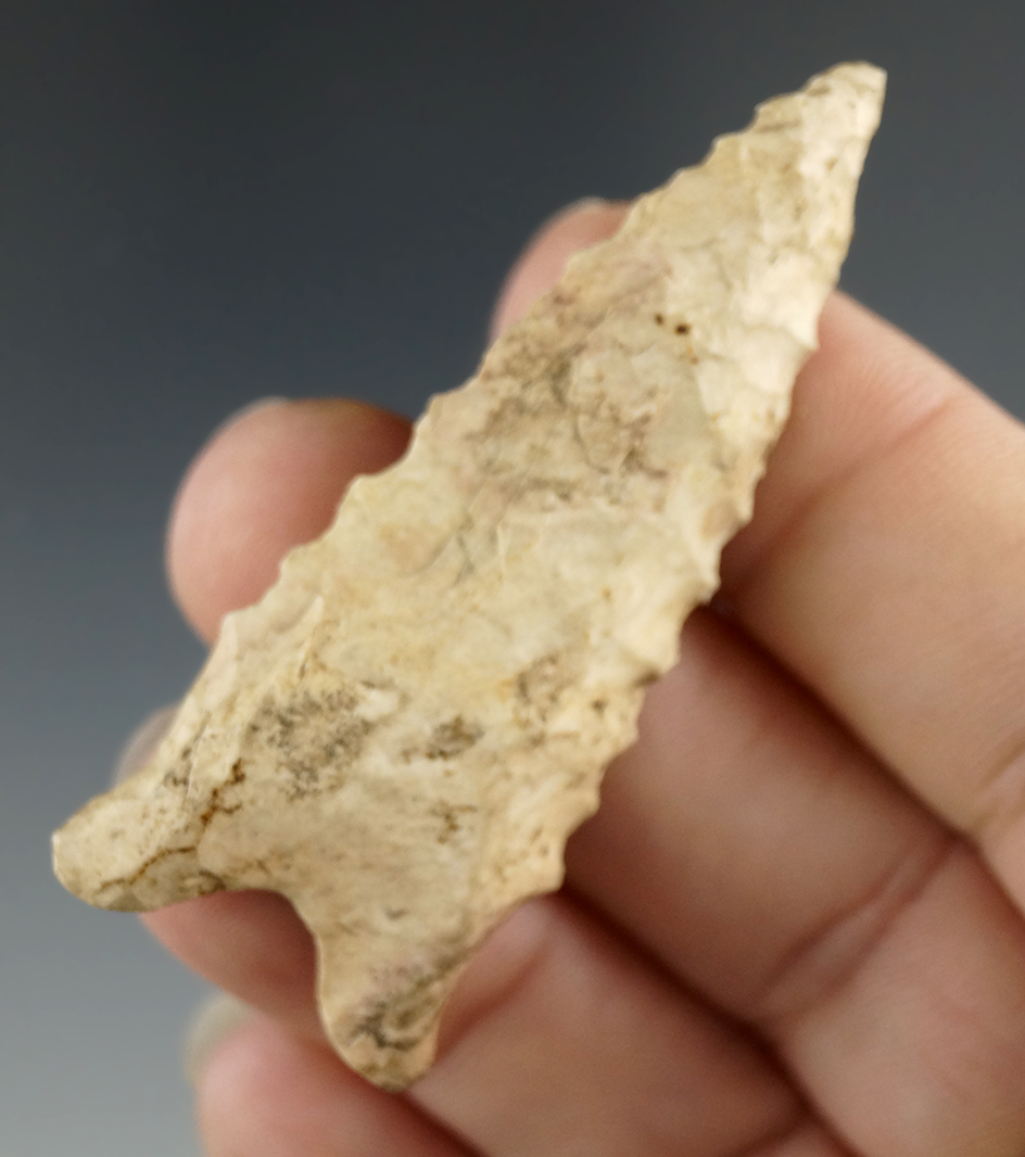 2 1/4" Dalton found by Steve Keown in Beaufort Co., South Carolina.