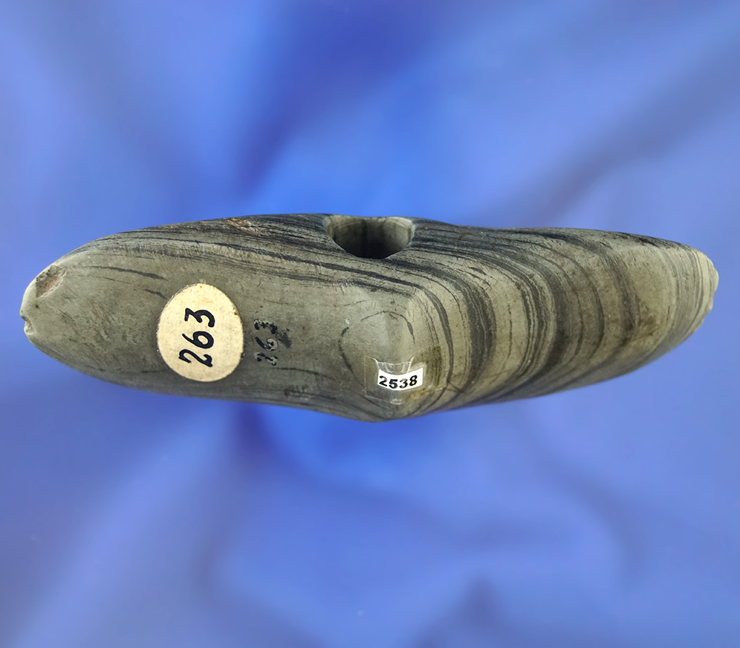 4 1/8" Winged Bannerstone found in Delaware Co., Ohio. Ex. Warren Baker Collection. Ex. Elleman.