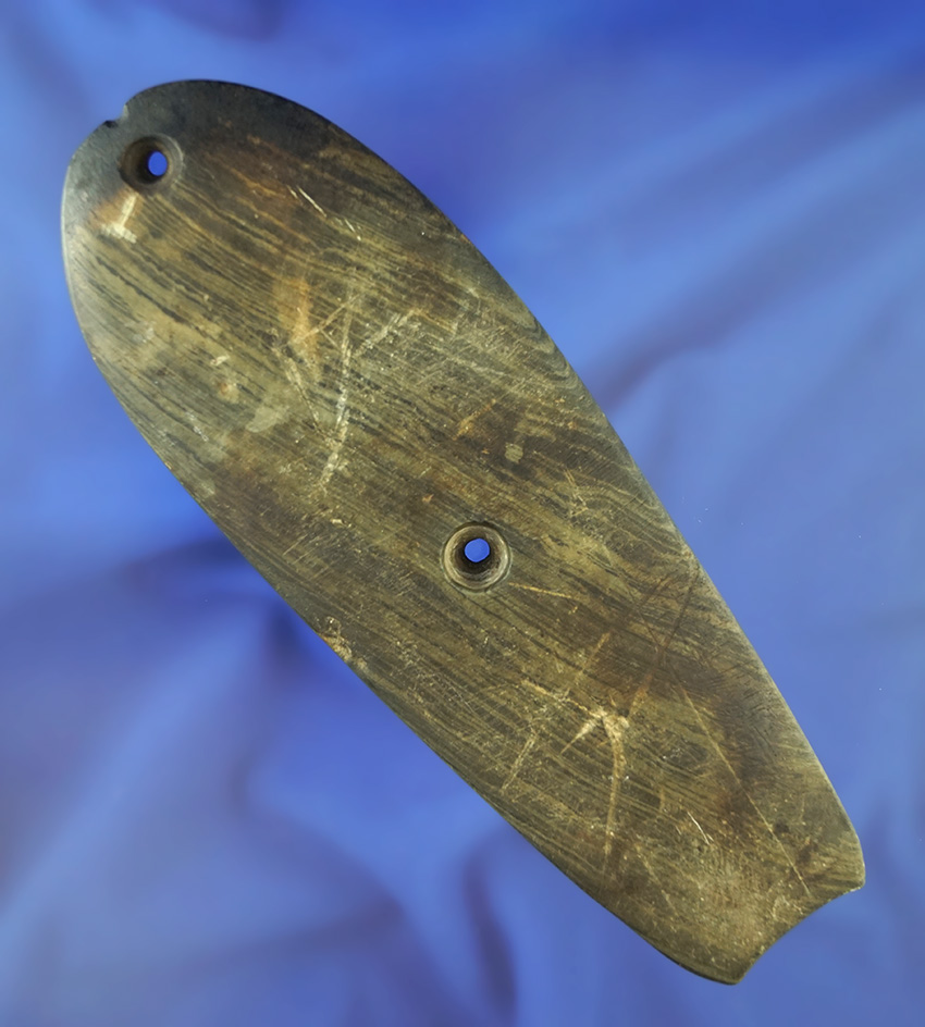 Rare and nice! 6 1/2" Glacial Kame Sandal Sole Gorget -  Ohio- Davis G-9 COA.