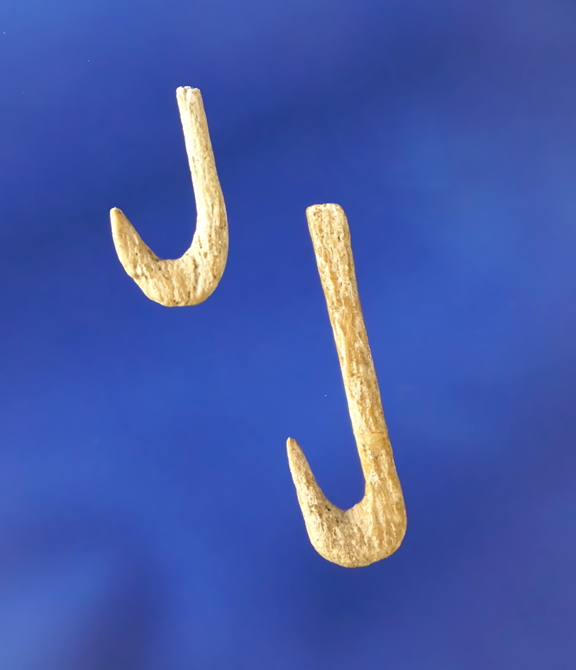 Pair of bone Fishhooks found in Kentucky. Largest is 1 1/8" smallest is 5/8".