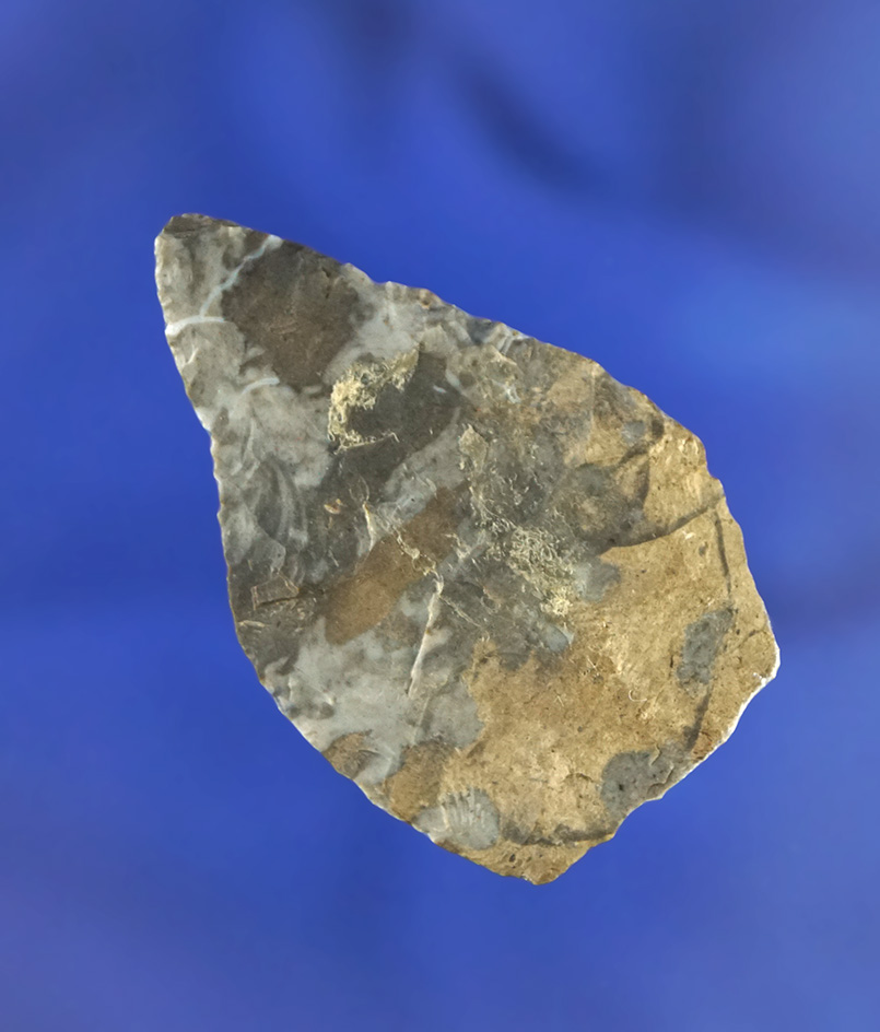 1 11/16" Jack's Reef Blade made from Onondaga Flint found in Livingston Co.,  New York.