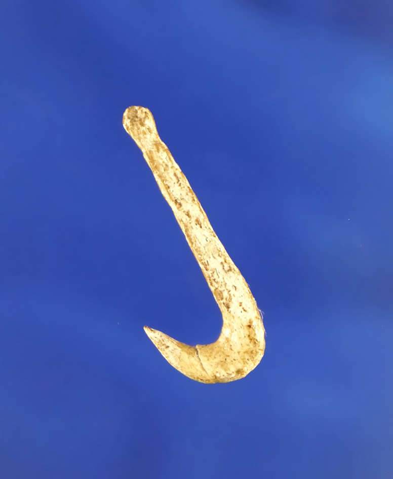 15/16" Bone Fishhook found in Kentucky in very nice condition.