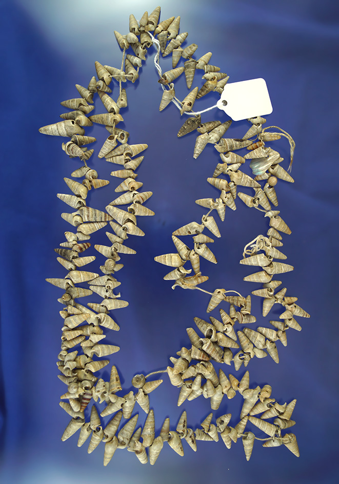 Huge 48" long strand of Marginella shell beads with a shell Pendant- Crawford and Mercer, PA.