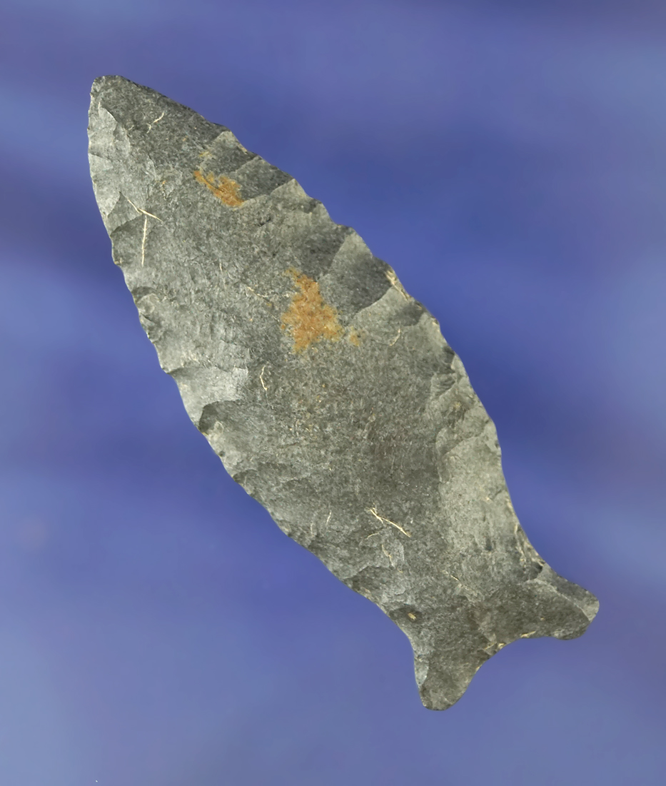 2 11/16" fluted Paleo Cumberland found in Tennessee.