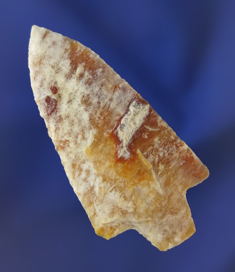 Beautiful material - 2 3/4" Newnan made from semi translucent heat-treated coral Pasco Co.,  FL.