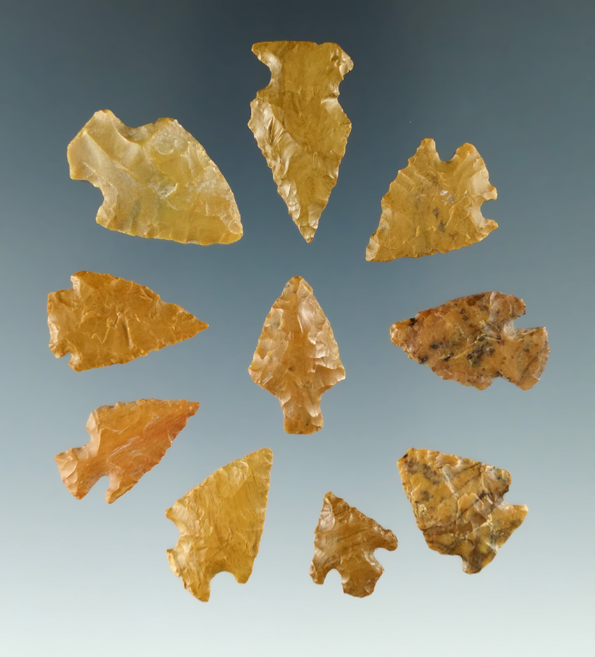 Group of 10 arrowheads found in Colorado, largest is 1 1/8".