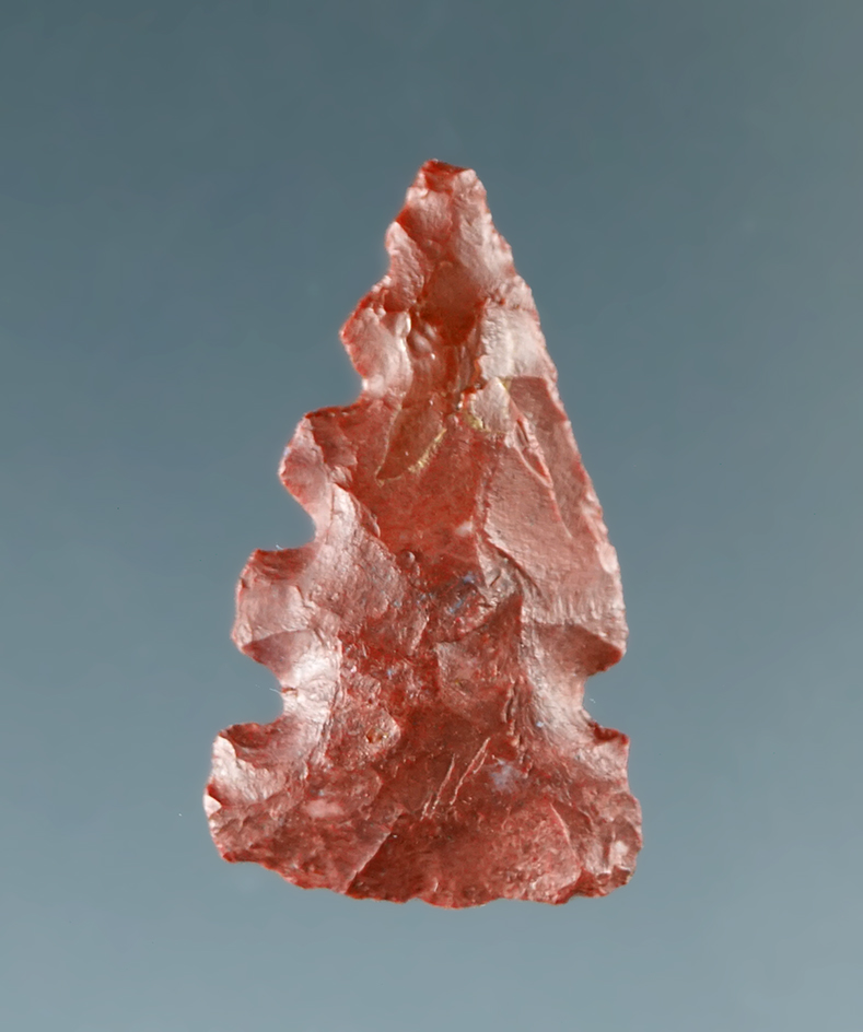 3/4" Tripple Notch found in San Juan Co., New Mexico.