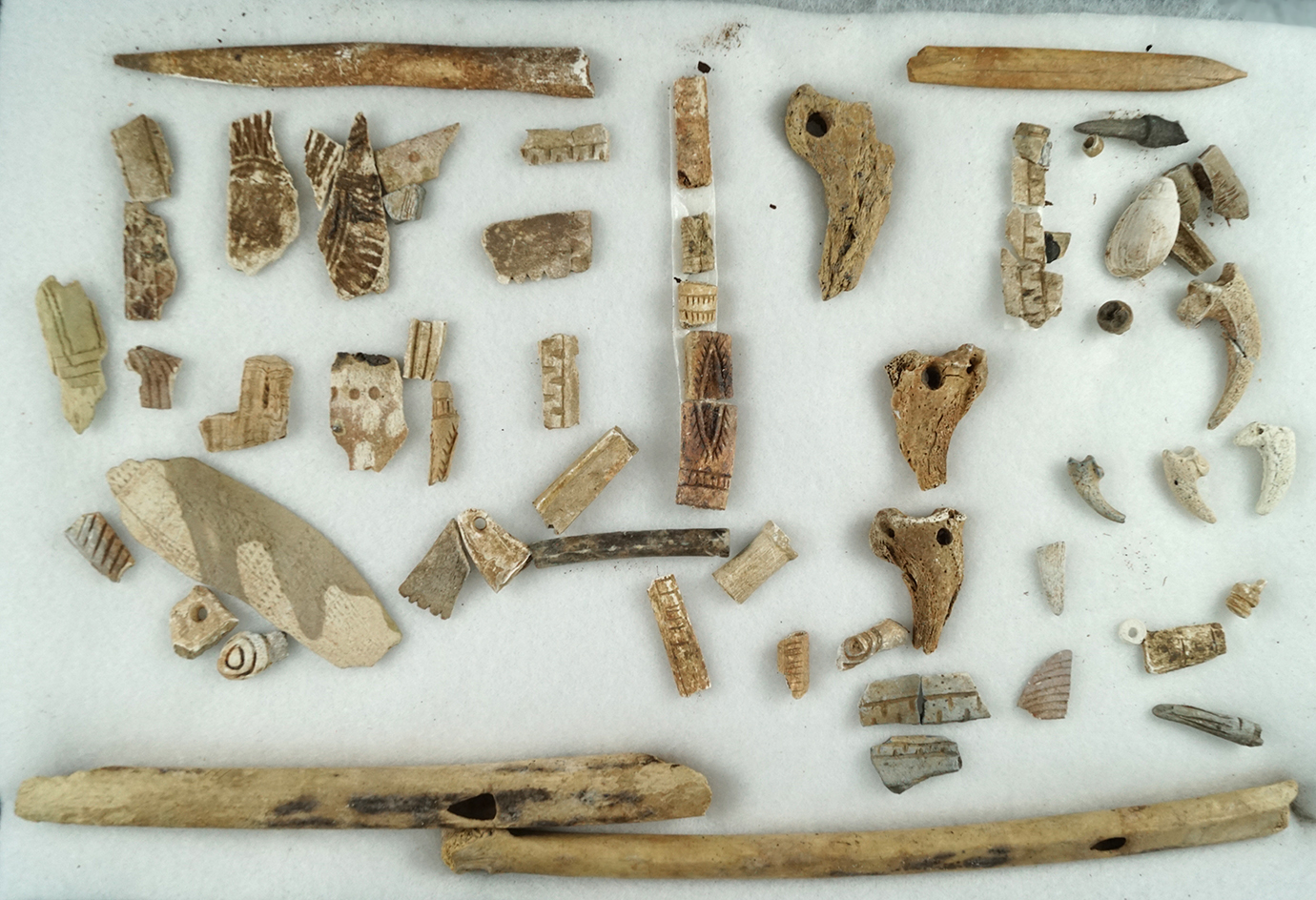 Large group of Bone artifacts found by Tom Gerity in the Tygh Valley, Oregon. Largest is a 7" bone f