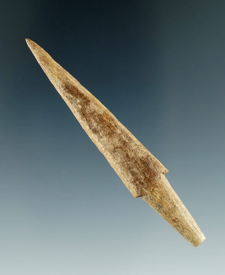 2 11/16" well styled Fishing Spear Tip made from bone found near the Columbia River. Ex. Schmid.
