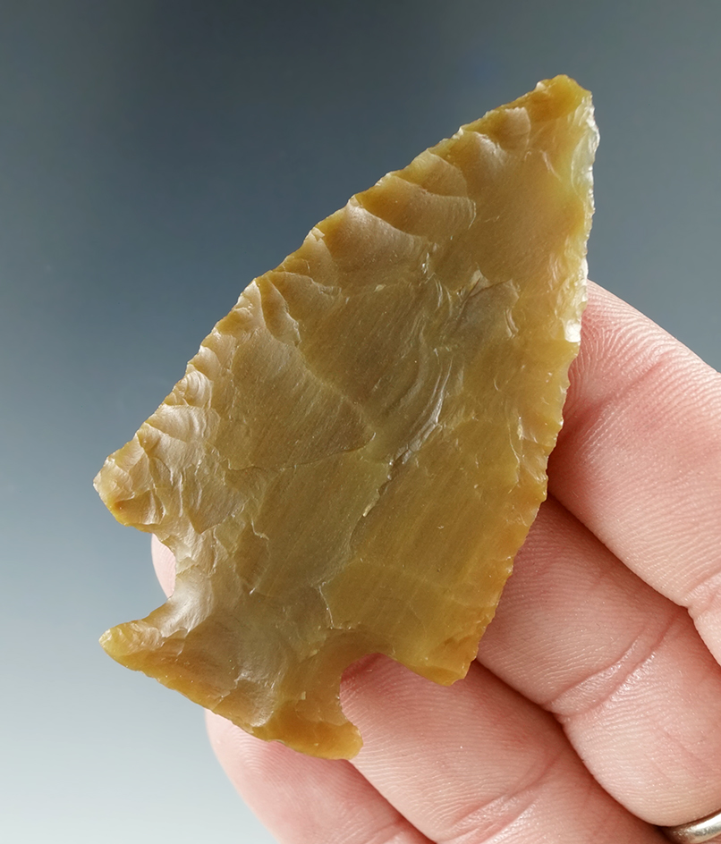 2 3/8" Glendo made from Green Agatized Petrified wood - Ex. Robert Roth. Yuma Co., Colorado.