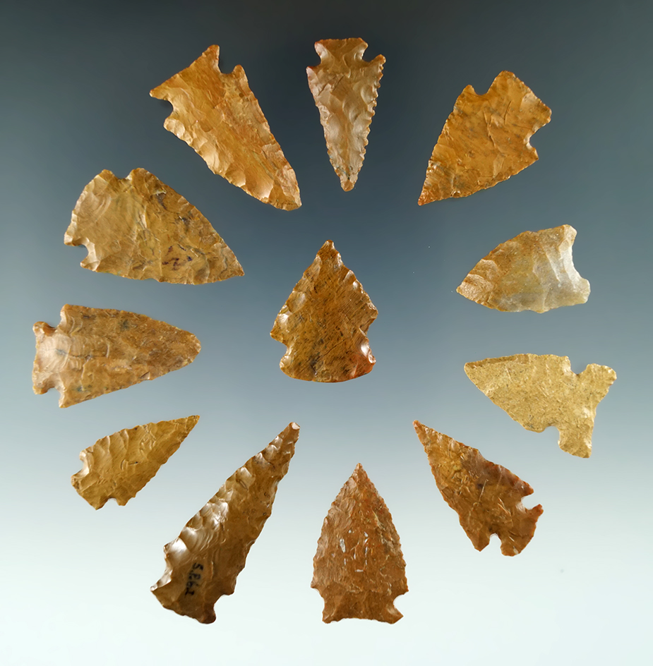 Group of 12 attractive arrowheads found in Colorado, largest is 1 1/4". Ex. Bob Roth.