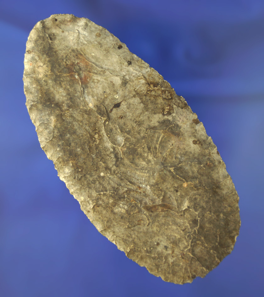 Very nice flaking on this 4 and 13/16" Flint blade found in southern Michigan.