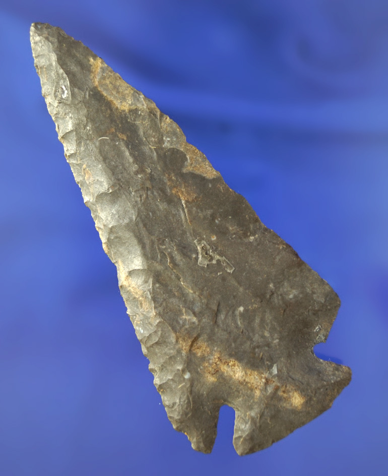 4 1/16" Archaic Cornernotch Bevel found in. County Tennessee.