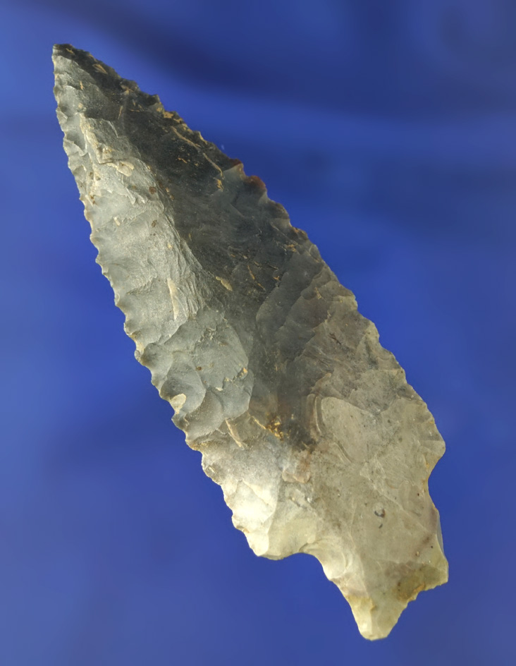 3 1/4" serrated Knife found in Tennessee.