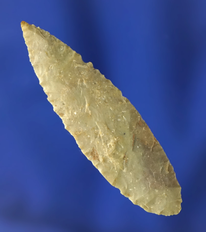 2 1/16" Nodena point that is thin and very well flaked found in Arkansas. Bennett COA