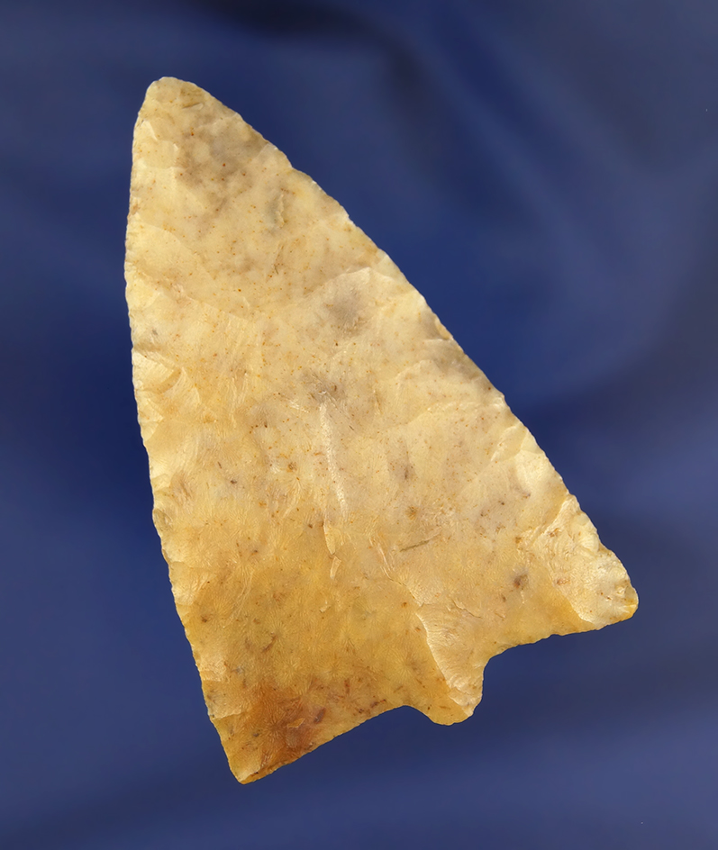 2 13/16" Projectile Point well made from polished Coral, found in Florida.