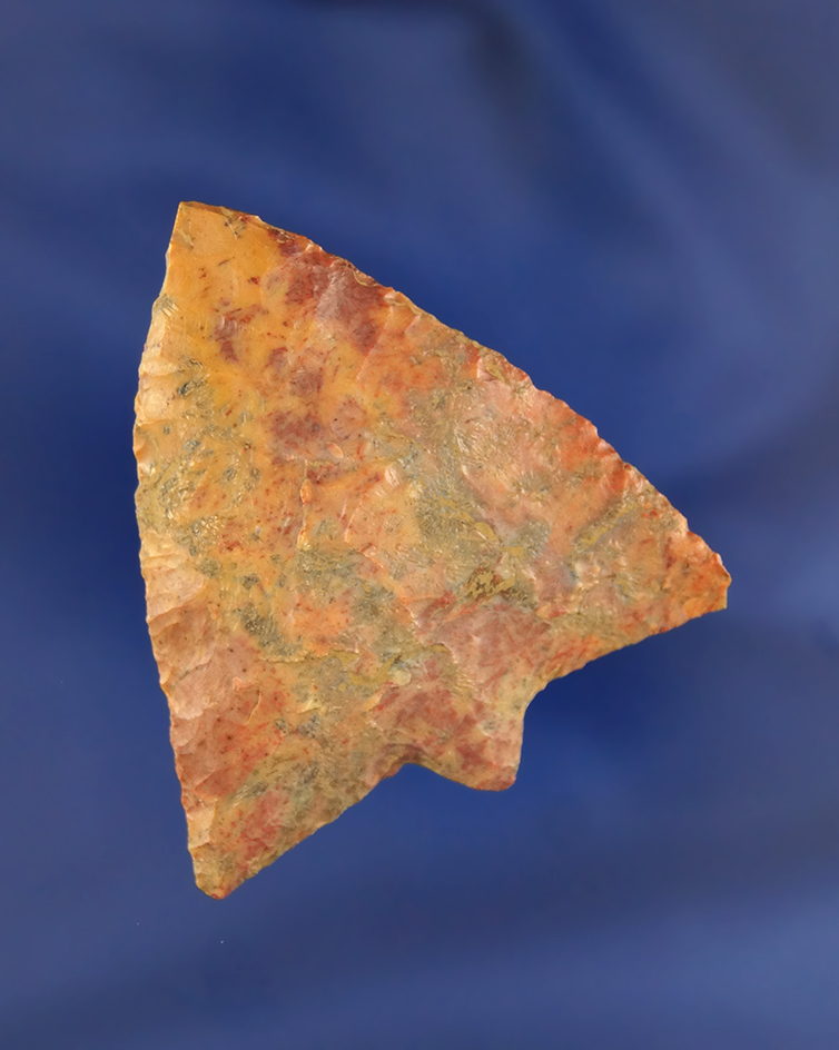 2" Projectile Point well made from polished Coral, found in Florida.