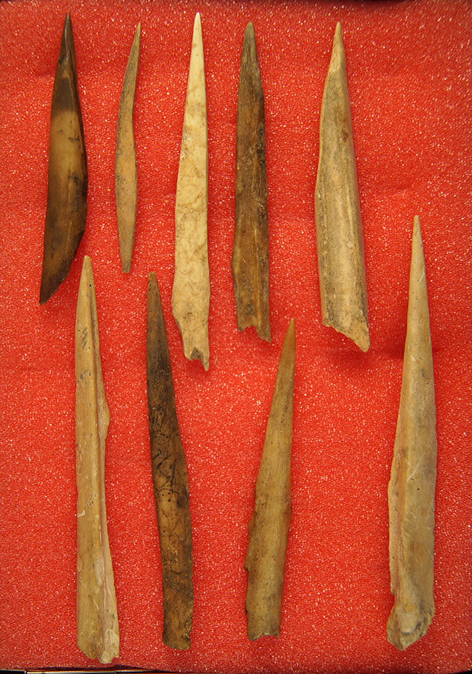 Group of 9 Bone Awls found in Wayne Co., Kentucky by Bryan Canada in the 1950's.