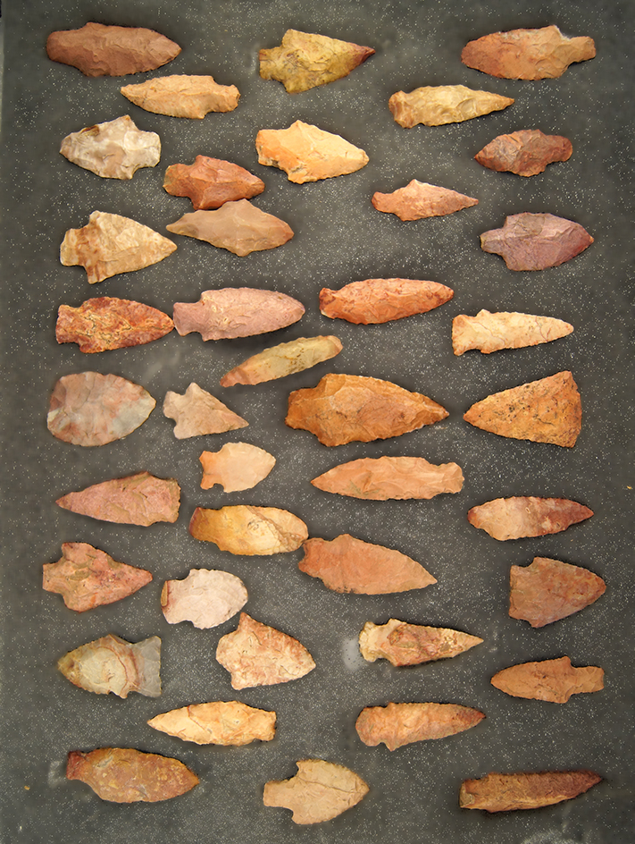 Large group of 40 sorted Arrowheads  found in Mississippi, largest is 2 3/4".