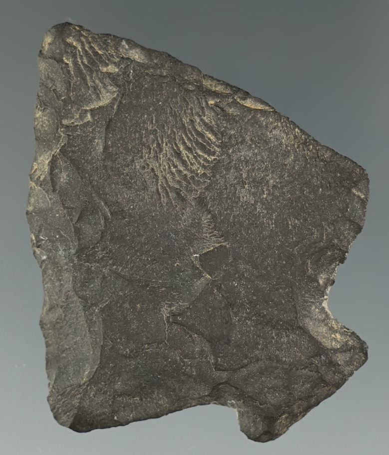 2 1/16" Perkiomen found in Allegheny Co., Pennsylvania.