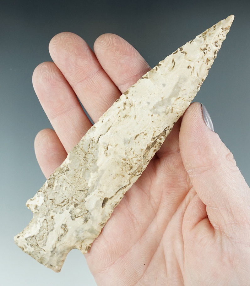 Large 5 13/16" Etley found in St. Louis Co., Missouri.