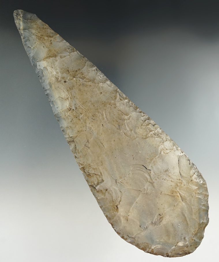 Large and nice! 6 9/16" Colha Chert Mayan Hoe with excellent use polish to bit area.