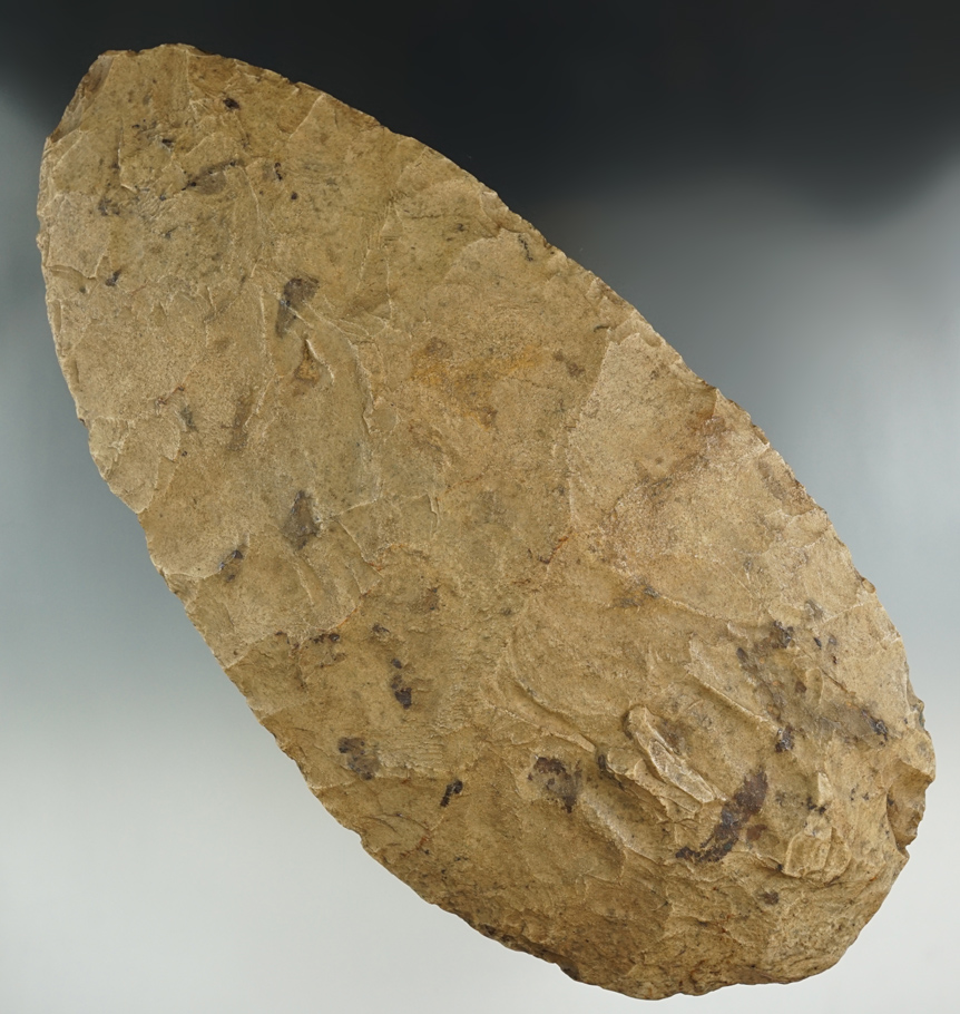 Exceptionally large! 11 1/8" x 5 1/4" Flint Spade with use polish to bit area. Found in Illinois.