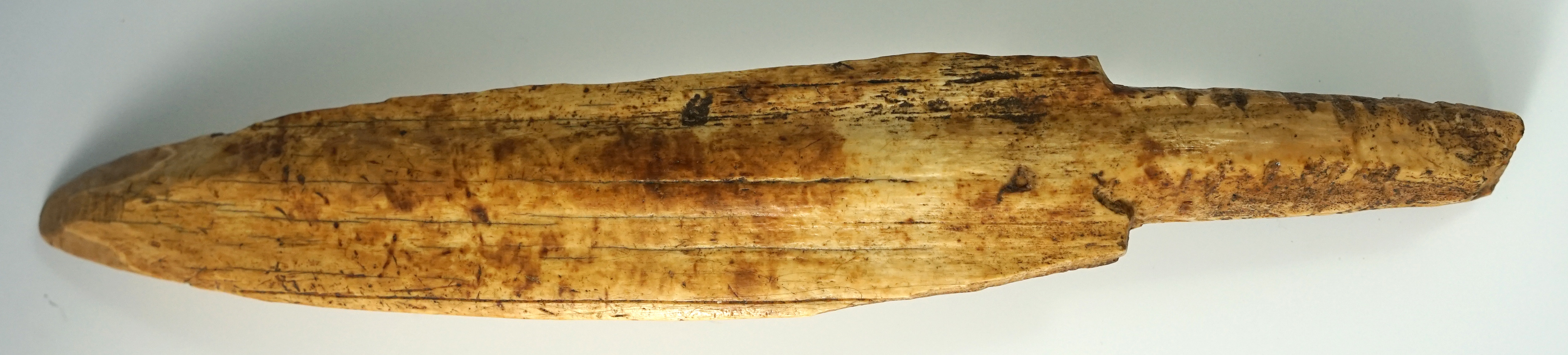 Large 12 1/2" Inuit ivory pick found in Alaska.