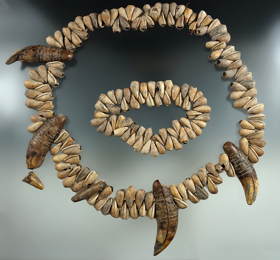 Two NICE shell necklaces! One has 4 large bear teeth (one tooth is broken and glued by tip).