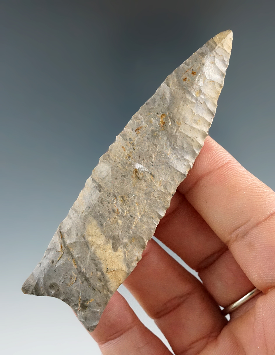 3 9/16" Dalton - Arkansas. Deaccessioned by the Museum of Native American History.   COA.