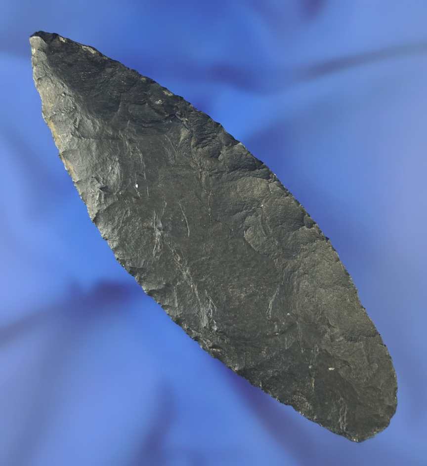 Rare! 4 5/16" Paleo Windust Contracting Stem found in Powers  County Idaho - Bennett COA.