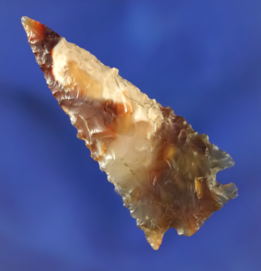 Incredible material on this 1 7/8" agate Snake River Dart Point  found by Kaye Don Bruce -Washington