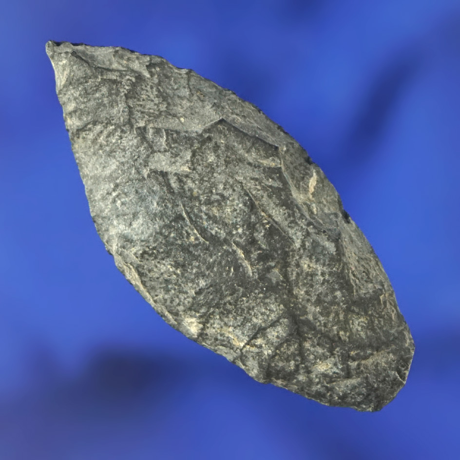 1 13/16" Paleo Spedis made from basalt with heavily ground lower edges found in Washington.