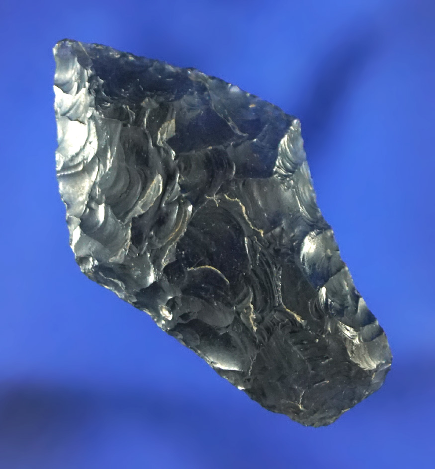 1 7/16" Paleo Spedis - Paradise Valley, Idaho. Ex. Chris Clark collection. Nicely ground lower edges