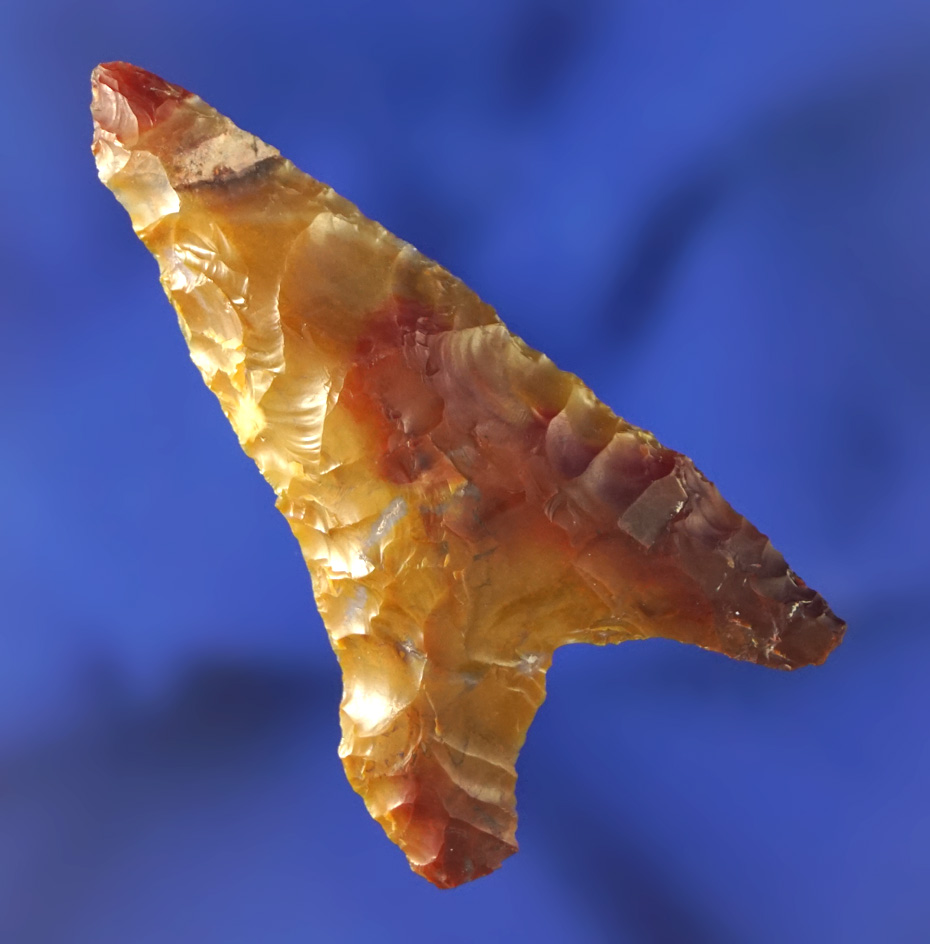 Exceptional color on this 2 1/16" Columbia Mule Ear found near the Columbia River, Washington.