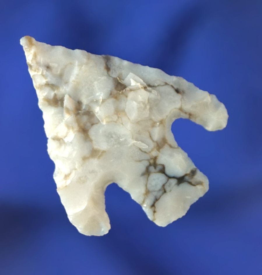 1 5/16" Shumla point found in New Mexico made from beautifully colored material.