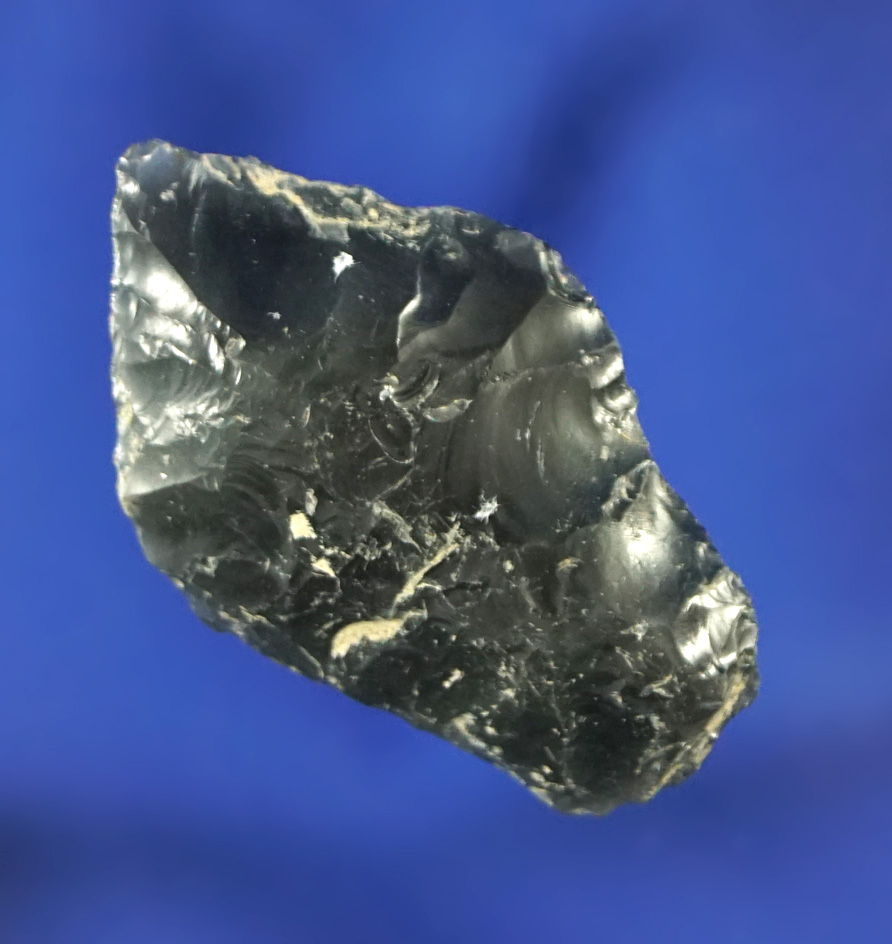 1 1/8" obsidian Paleo Spedis with heavily ground lower edges found in Washington.