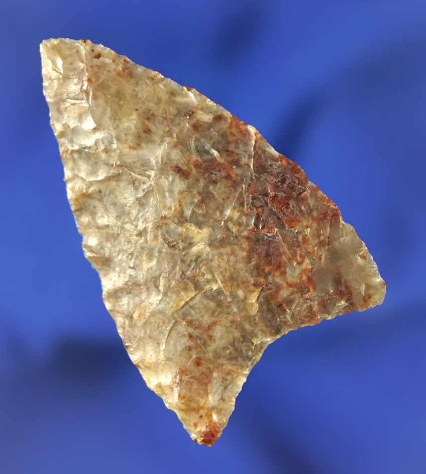 Attractive material on this 1 15/16" Columbia Mule Ear found in Washington.