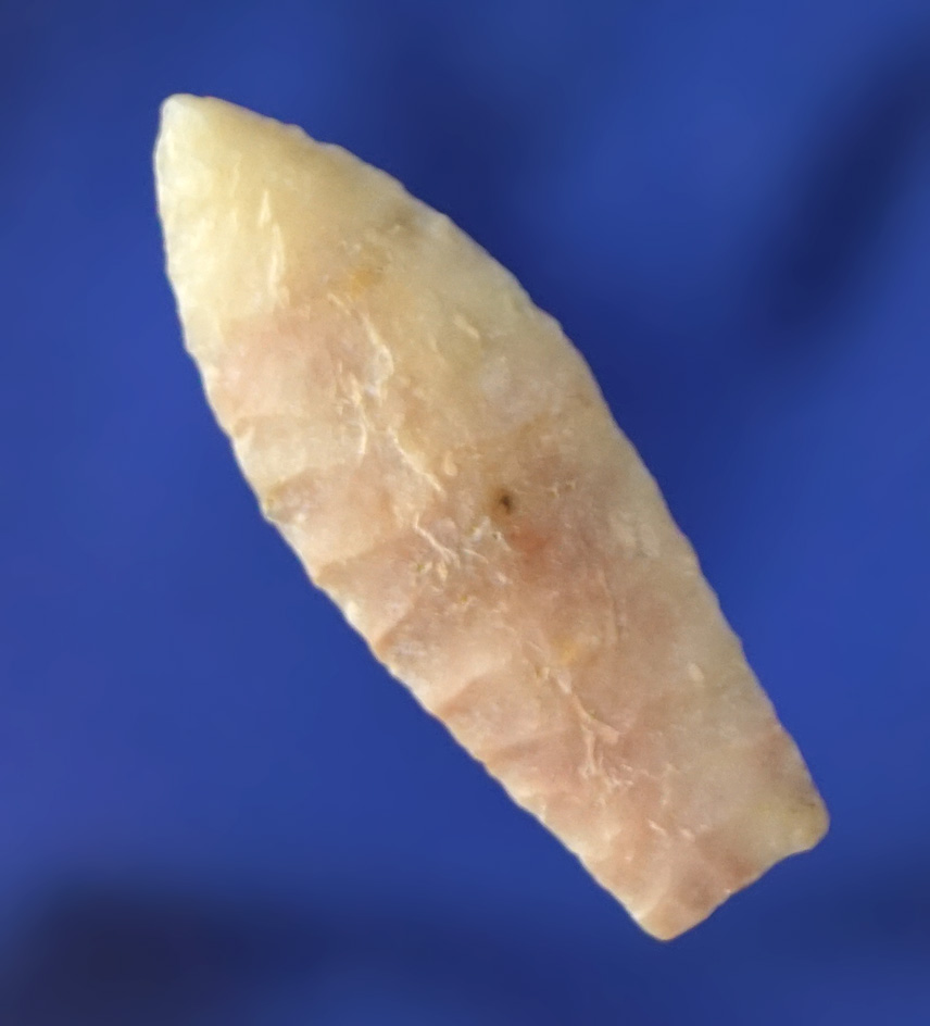Nicely made 1 1/4" Paleo Spedis found in Washington made from attractive pink and cream Flint.