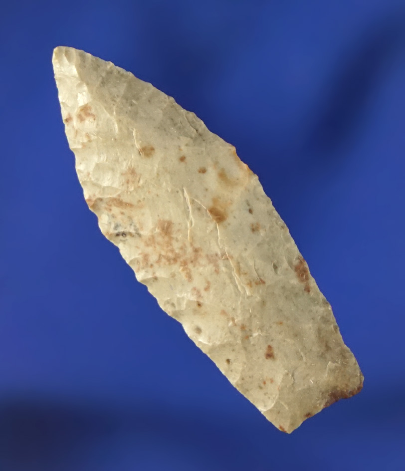 Thin and nicely styled 1 1/4" Paleo Spedis found in Washington.