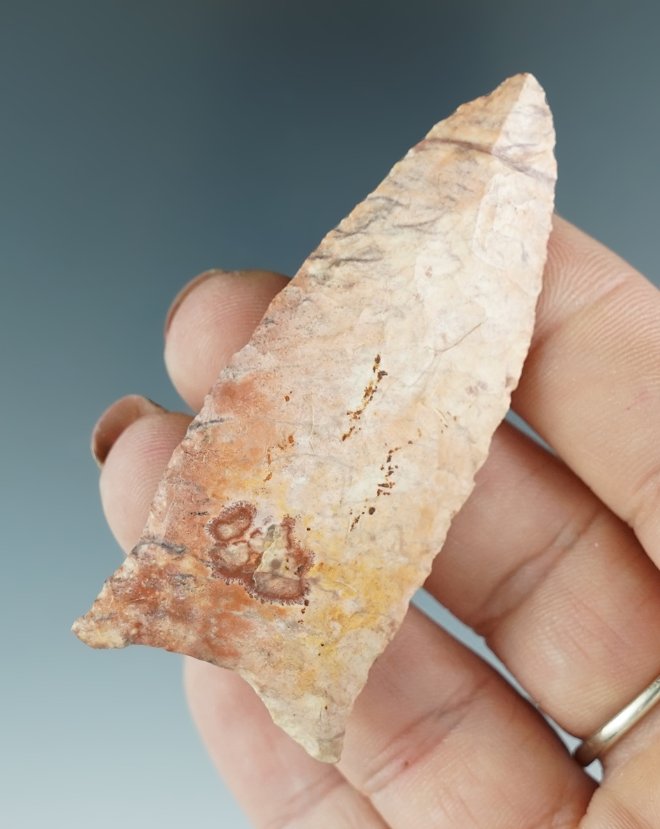 Very colorful 2 5/8" Dalton found in Georgia.