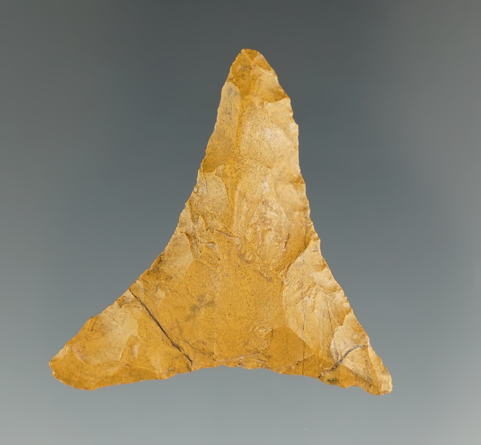 1 1/2" Mississippian Projectile Point found near Harleysville, Pennsylvania, by Tracy Fryer. COA.