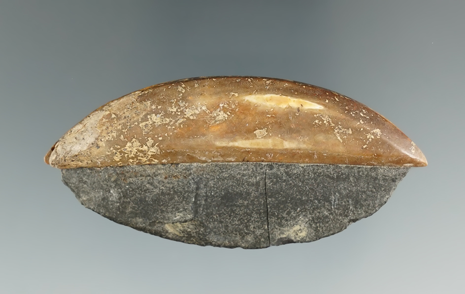 Nice! 2 1/2" Slate Ulu Knife with the original ivory handle. Found in Alaska.