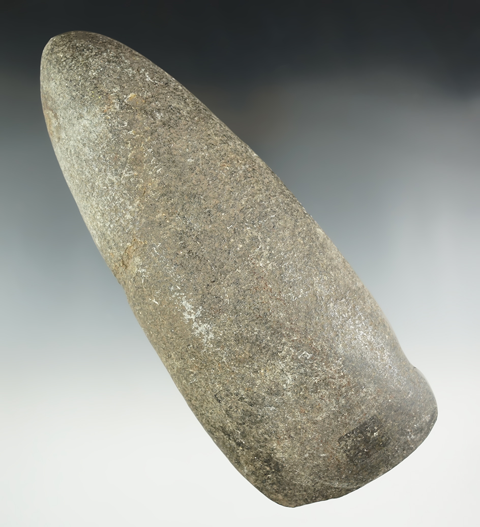 Large 7 9/16" Hardstone Adze found in West Unity, Ohio on the G. Bowers farm.