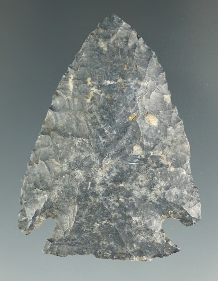 1 7/8" nicely made Coshocton Flint Archaic Cornernotch found in Hillsdale Co., Michigan.