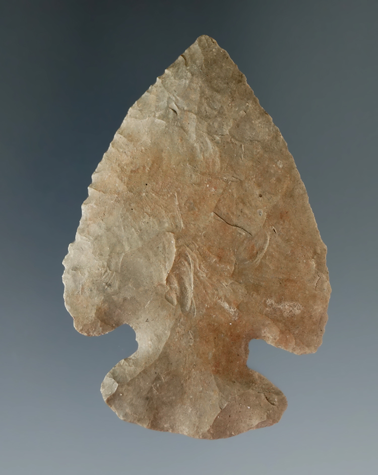 2 3/4" Archaic Thebes E-Notch Bevel found in southern Michigan.