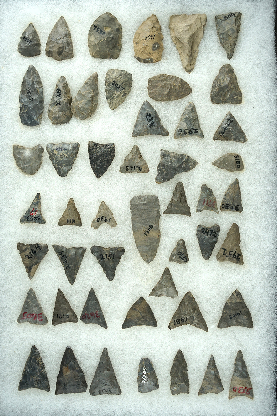 Large set of approximately 48 triangular points and Knives found in New York, largest is 1 13/16".