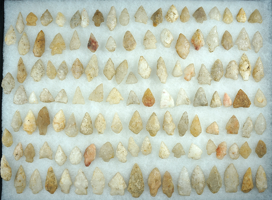 Large group of over 120 Quartz arrowheads found in New Jersey. Largest is 2".