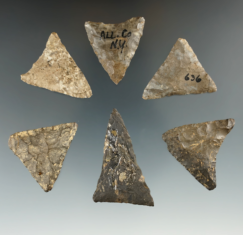 Set of six nice Triangle points found in New York, largest is 1 7/8".