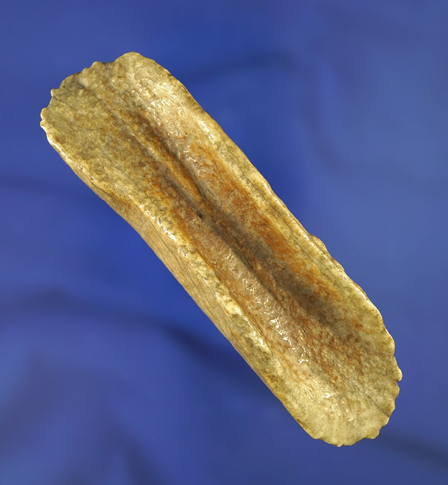 Rare! 4 1/4" Bi-pointed Gouge made from fossilized antler found in southern Michigan.